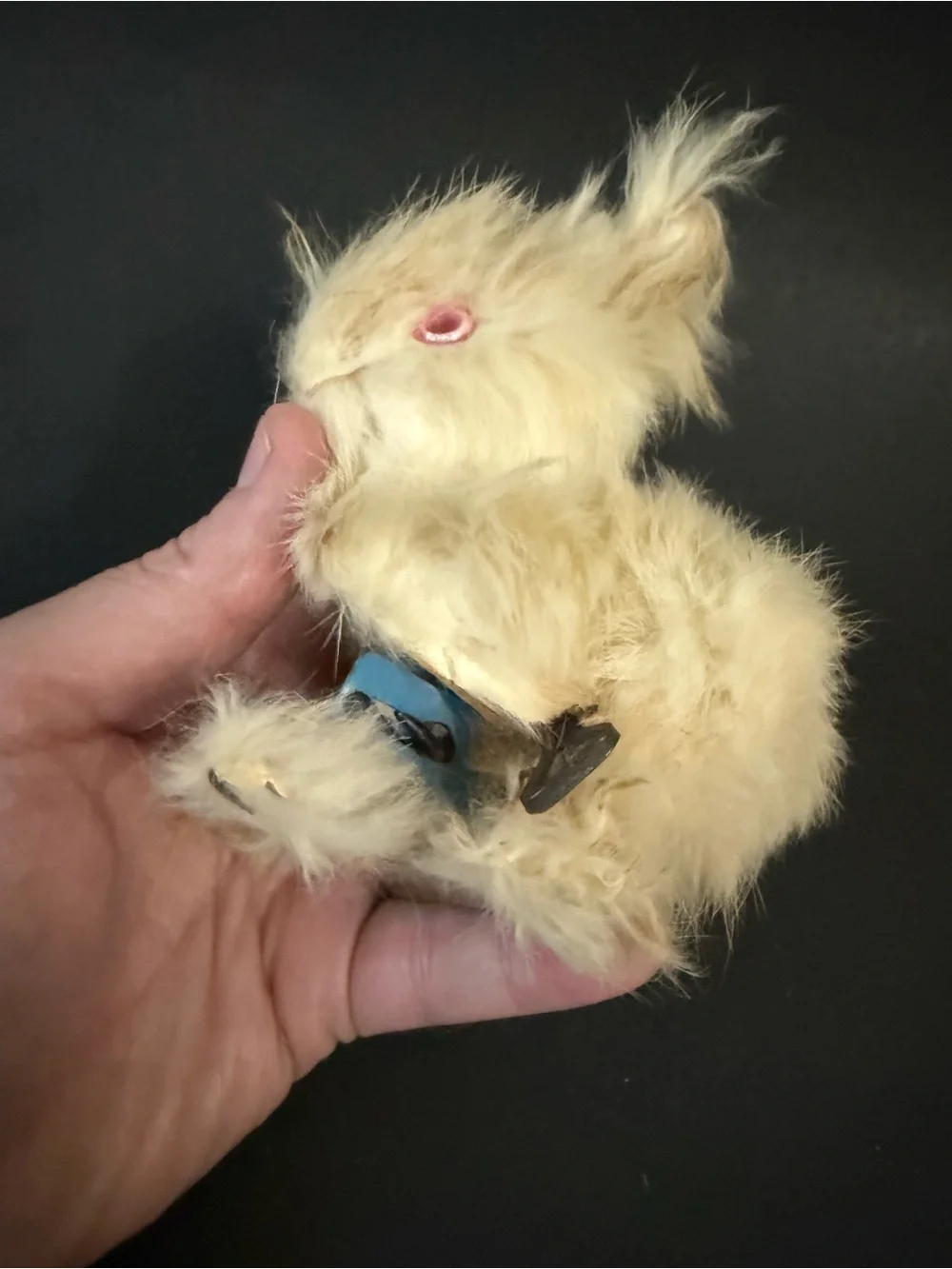 Antique Wind-up Real Fur Bunny Toy
